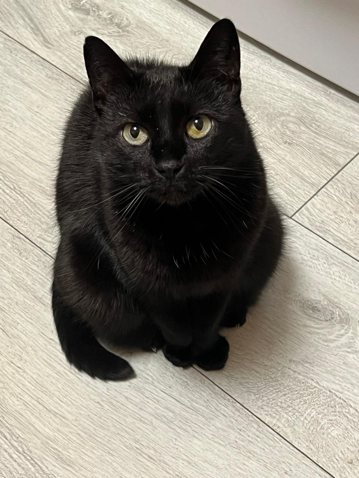 Imagine suplimentară